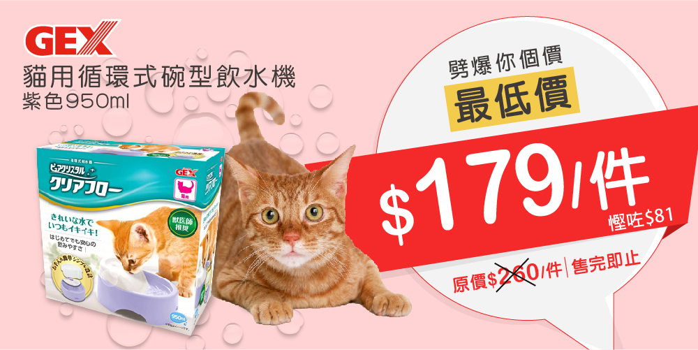 GEX貓用循環式碗型飲水機-紫色950ml GEX貓用循環式碗型飲水機-紫色950ml